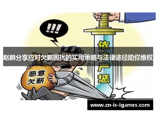 赵鹏分享应对欠薪困扰的实用策略与法律途径助你维权