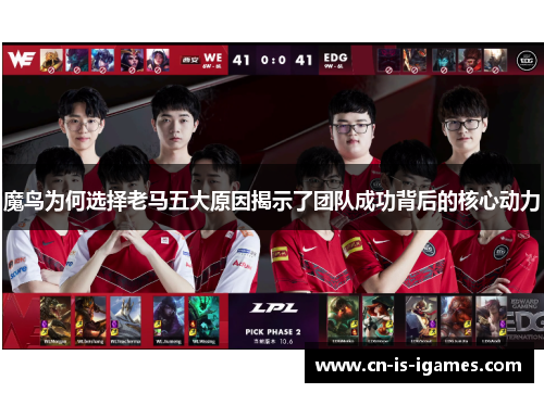 魔鸟为何选择老马五大原因揭示了团队成功背后的核心动力